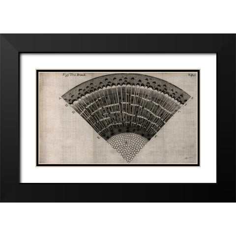 Tree Fan II Black Modern Wood Framed Art Print with Double Matting by Butler, John