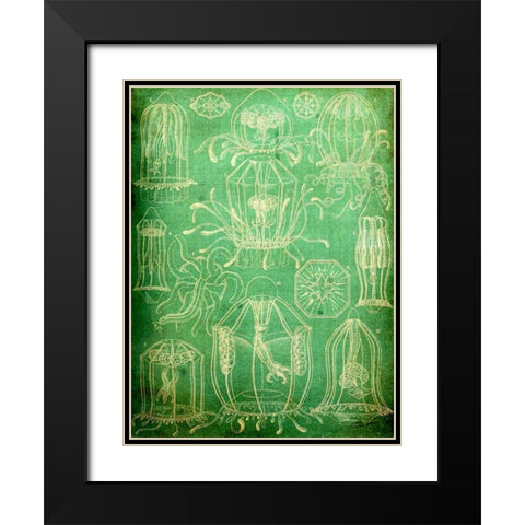 Sealife II Black Modern Wood Framed Art Print with Double Matting by Butler, John