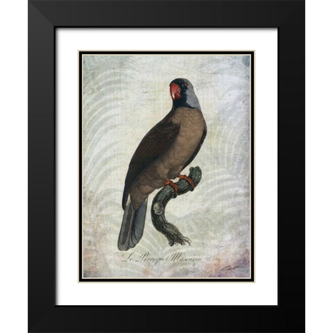 Parrot Jungle I Black Modern Wood Framed Art Print with Double Matting by Butler, John