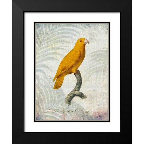 Parrot Jungle V Black Modern Wood Framed Art Print with Double Matting by Butler, John