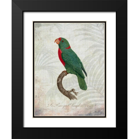 Parrot Jungle VI Black Modern Wood Framed Art Print with Double Matting by Butler, John