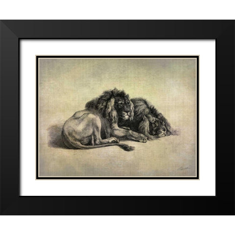 Big Cats IV Black Modern Wood Framed Art Print with Double Matting by Butler, John