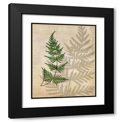 British Ferns III Black Modern Wood Framed Art Print with Double Matting by Butler, John