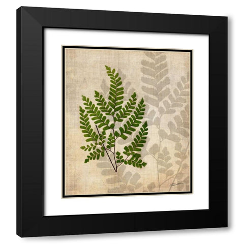 British Ferns VI Black Modern Wood Framed Art Print with Double Matting by Butler, John