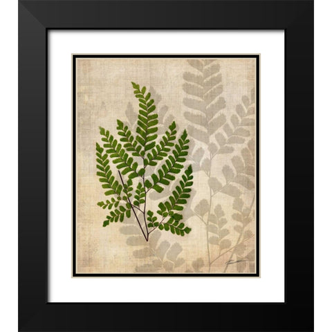 British Ferns VI Black Modern Wood Framed Art Print with Double Matting by Butler, John