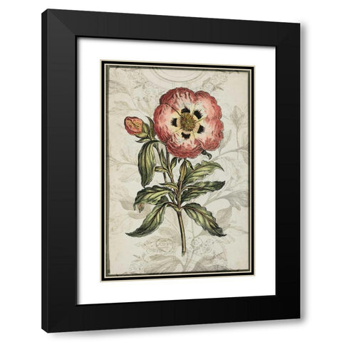 Keepsake Floral II Black Modern Wood Framed Art Print with Double Matting by Goldberger, Jennifer