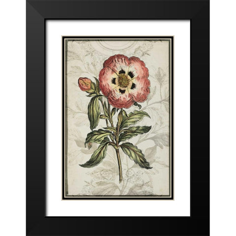 Keepsake Floral II Black Modern Wood Framed Art Print with Double Matting by Goldberger, Jennifer