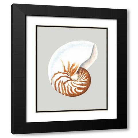 Nautilus Black Modern Wood Framed Art Print with Double Matting by Willett, Michael