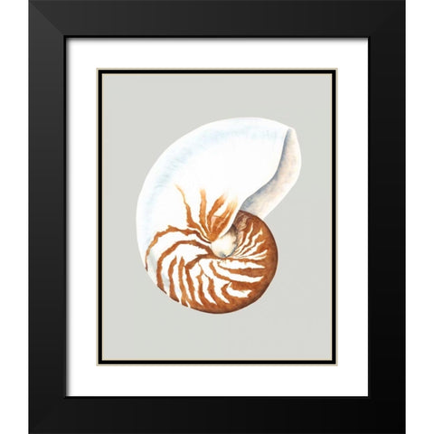 Nautilus Black Modern Wood Framed Art Print with Double Matting by Willett, Michael