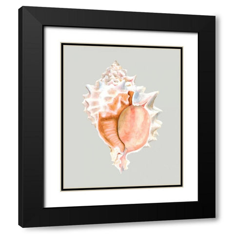 Pink Murex Black Modern Wood Framed Art Print with Double Matting by Willett, Michael