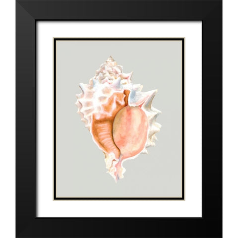 Pink Murex Black Modern Wood Framed Art Print with Double Matting by Willett, Michael