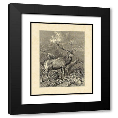 Vintage Roe Deer II Black Modern Wood Framed Art Print with Double Matting by Specht, Friedrich