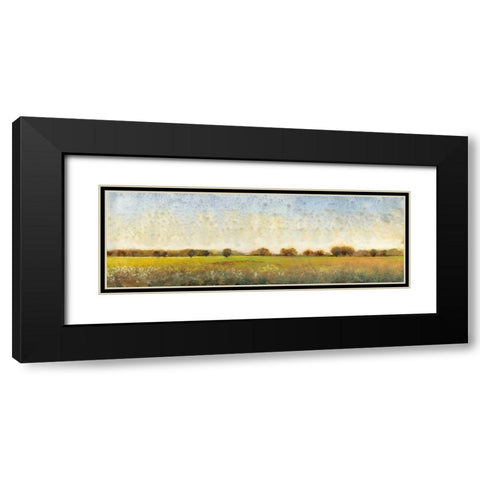 Flowering Meadow II Black Modern Wood Framed Art Print with Double Matting by OToole, Tim