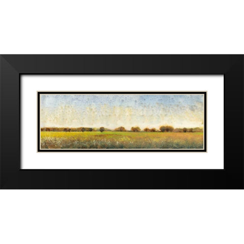 Flowering Meadow II Black Modern Wood Framed Art Print with Double Matting by OToole, Tim