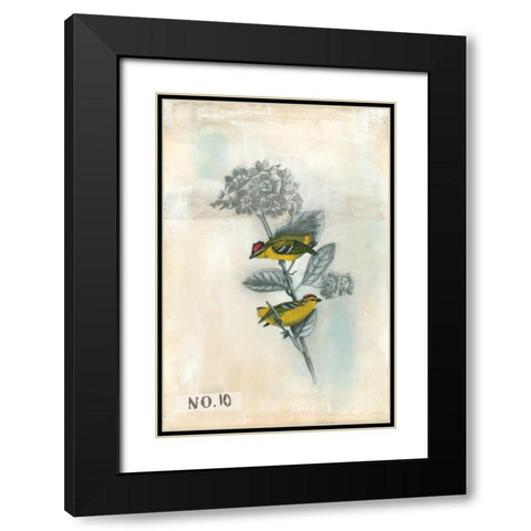 After Flight II Black Modern Wood Framed Art Print with Double Matting by McCavitt, Naomi