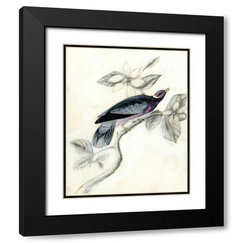 Rustic Aviary I Black Modern Wood Framed Art Print with Double Matting by McCavitt, Naomi