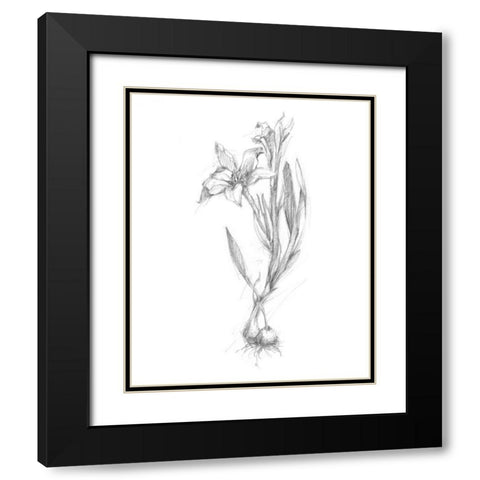 Botanical Sketch I Black Modern Wood Framed Art Print with Double Matting by Harper, Ethan