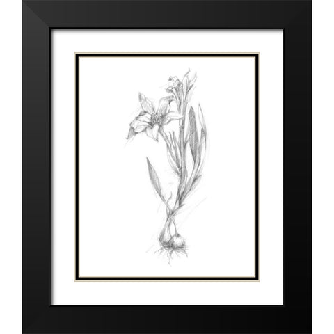 Botanical Sketch I Black Modern Wood Framed Art Print with Double Matting by Harper, Ethan