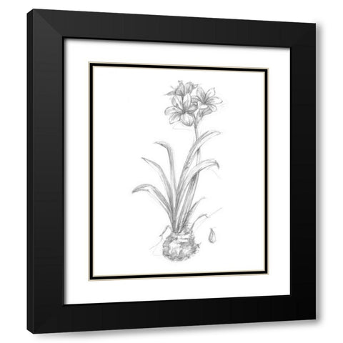 Botanical Sketch II Black Modern Wood Framed Art Print with Double Matting by Harper, Ethan