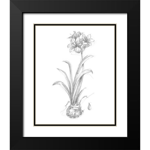 Botanical Sketch II Black Modern Wood Framed Art Print with Double Matting by Harper, Ethan