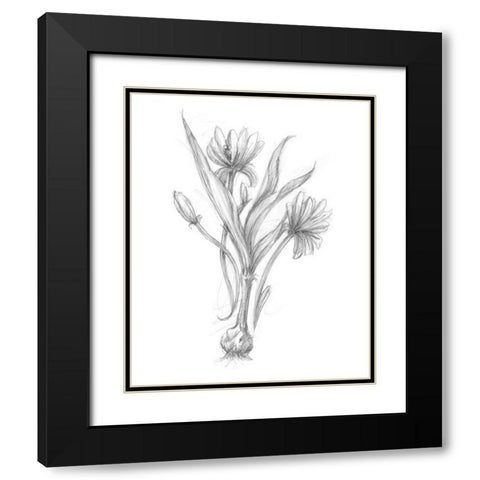 Botanical Sketch III Black Modern Wood Framed Art Print with Double Matting by Harper, Ethan