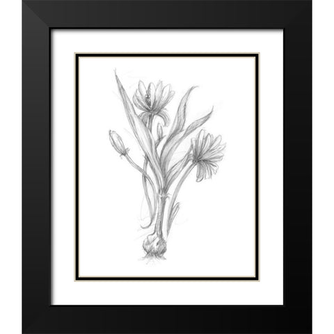 Botanical Sketch III Black Modern Wood Framed Art Print with Double Matting by Harper, Ethan