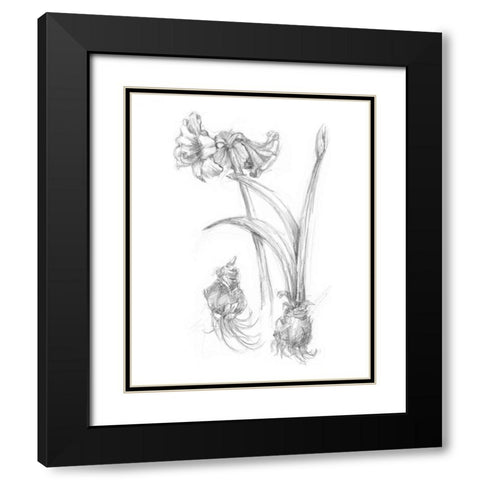 Botanical Sketch IV Black Modern Wood Framed Art Print with Double Matting by Harper, Ethan