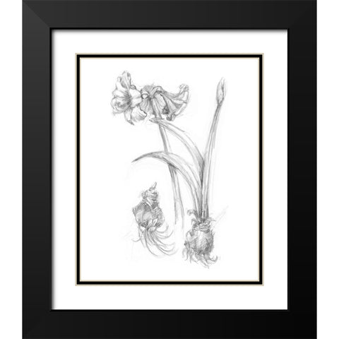 Botanical Sketch IV Black Modern Wood Framed Art Print with Double Matting by Harper, Ethan