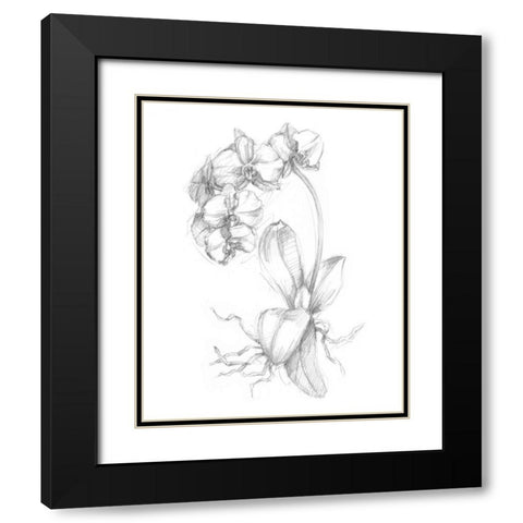 Botanical Sketch V Black Modern Wood Framed Art Print with Double Matting by Harper, Ethan