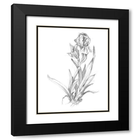 Botanical Sketch VI Black Modern Wood Framed Art Print with Double Matting by Harper, Ethan