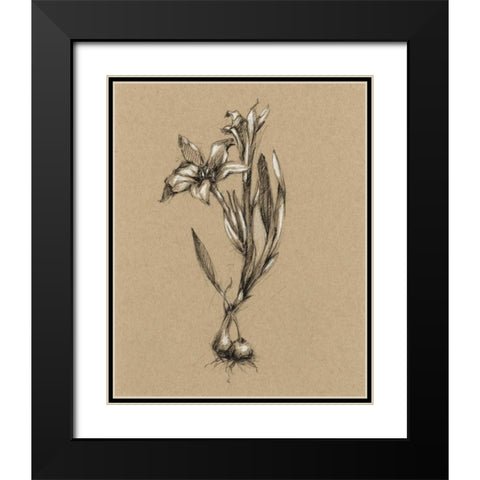 Botanical Sketch Black and White I Black Modern Wood Framed Art Print with Double Matting by Harper, Ethan