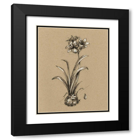 Botanical Sketch Black and White II Black Modern Wood Framed Art Print with Double Matting by Harper, Ethan