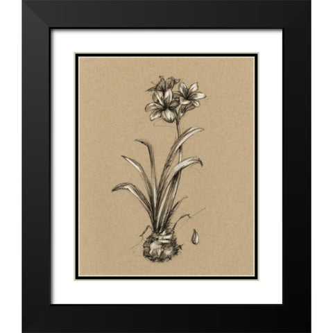 Botanical Sketch Black and White II Black Modern Wood Framed Art Print with Double Matting by Harper, Ethan