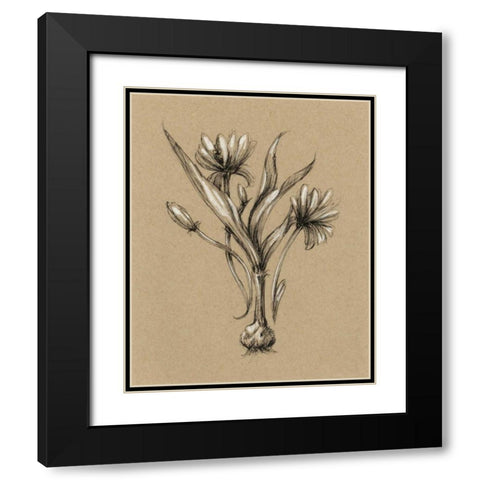 Botanical Sketch Black and White III Black Modern Wood Framed Art Print with Double Matting by Harper, Ethan