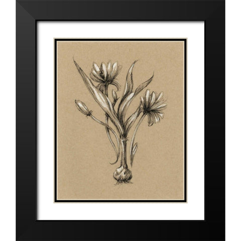 Botanical Sketch Black and White III Black Modern Wood Framed Art Print with Double Matting by Harper, Ethan