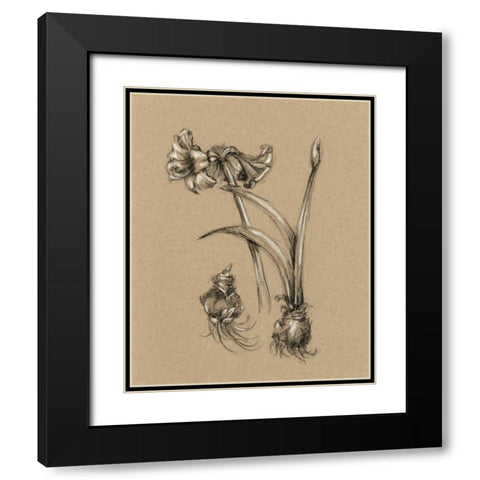 Botanical Sketch Black and White IV Black Modern Wood Framed Art Print with Double Matting by Harper, Ethan