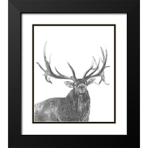 Wildlife Snapshot: Elk Black Modern Wood Framed Art Print with Double Matting by McCavitt, Naomi