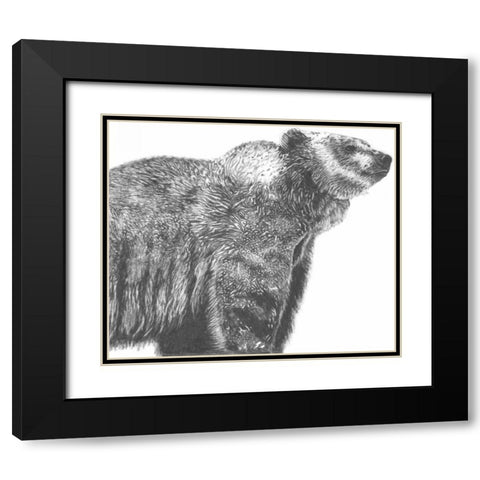 Wildlife Snapshot- Grizzly Black Modern Wood Framed Art Print with Double Matting by McCavitt, Naomi