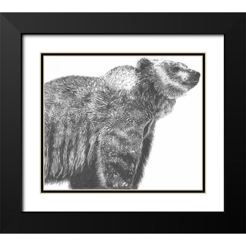 Wildlife Snapshot- Grizzly Black Modern Wood Framed Art Print with Double Matting by McCavitt, Naomi