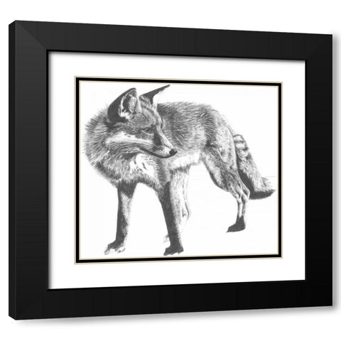 Wildlife Snapshot- Fox Black Modern Wood Framed Art Print with Double Matting by McCavitt, Naomi