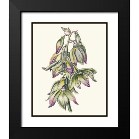 Adams Needle II Black Modern Wood Framed Art Print with Double Matting by McCavitt, Naomi