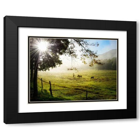 Morning Graze I Black Modern Wood Framed Art Print with Double Matting by Head, Danny
