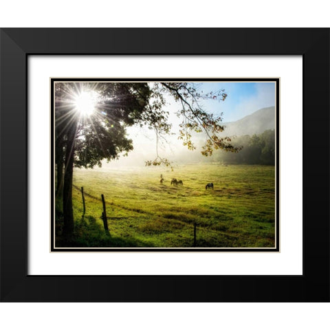 Morning Graze I Black Modern Wood Framed Art Print with Double Matting by Head, Danny