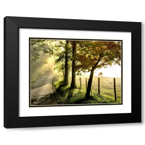 Morning Graze II Black Modern Wood Framed Art Print with Double Matting by Head, Danny