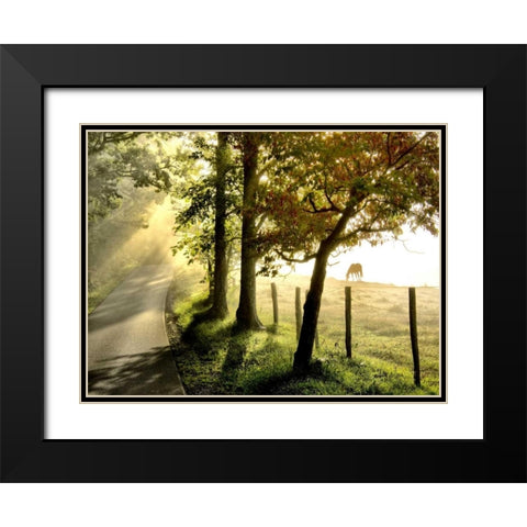 Morning Graze II Black Modern Wood Framed Art Print with Double Matting by Head, Danny
