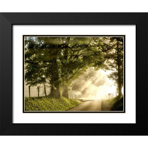 Fresh Morning I Black Modern Wood Framed Art Print with Double Matting by Head, Danny