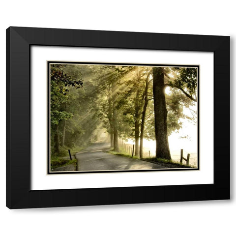 Fresh Morning II Black Modern Wood Framed Art Print with Double Matting by Head, Danny