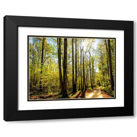 A Fresh New Morning Black Modern Wood Framed Art Print with Double Matting by Head, Danny