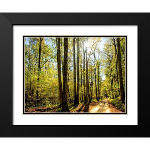 A Fresh New Morning Black Modern Wood Framed Art Print with Double Matting by Head, Danny