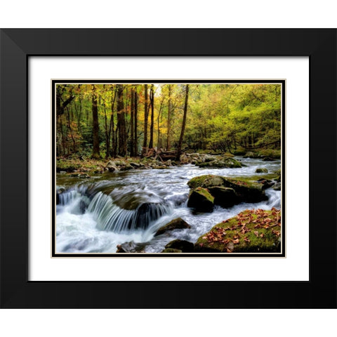 Over Flow I Black Modern Wood Framed Art Print with Double Matting by Head, Danny